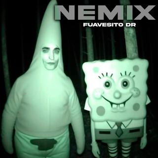 NEMIX