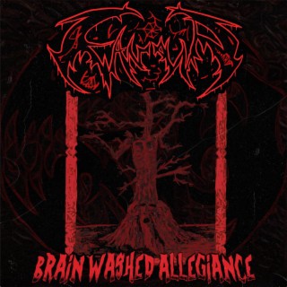 Brainwashed Allegiance lyrics | Boomplay Music