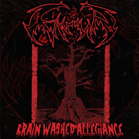 Brainwashed Allegiance | Boomplay Music