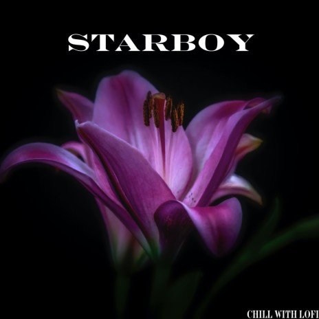 Starboy | Boomplay Music