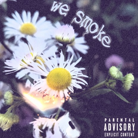 We Smoke | Boomplay Music