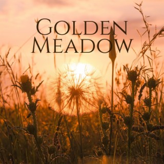 Golden Meadow: Relaxing Music with Soft Nature for Evening Meditations