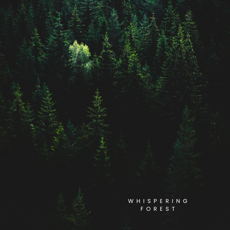 Whispering Forest | Boomplay Music