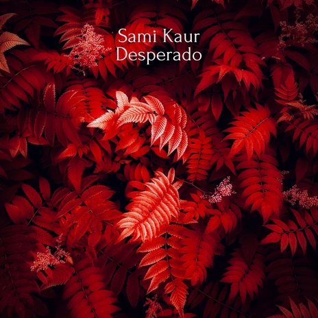 Desperado | Boomplay Music