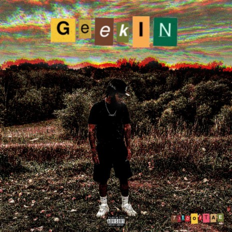 Geekin | Boomplay Music