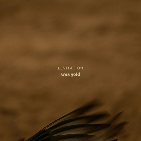 Levitation | Boomplay Music