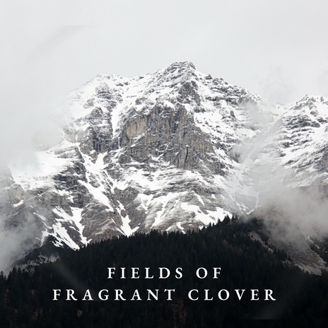 Fields of Fragrant Clover | Boomplay Music