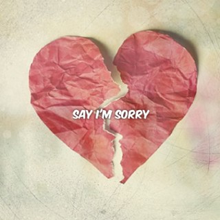 Say Im Sorry