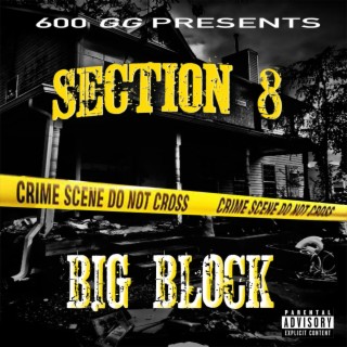 Section 8