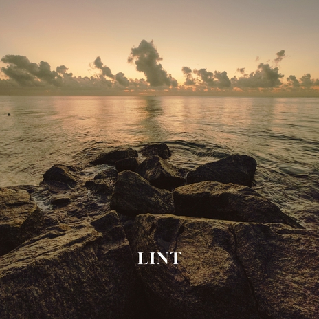 Lint - Nature | Boomplay Music