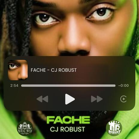 FACHE | Boomplay Music