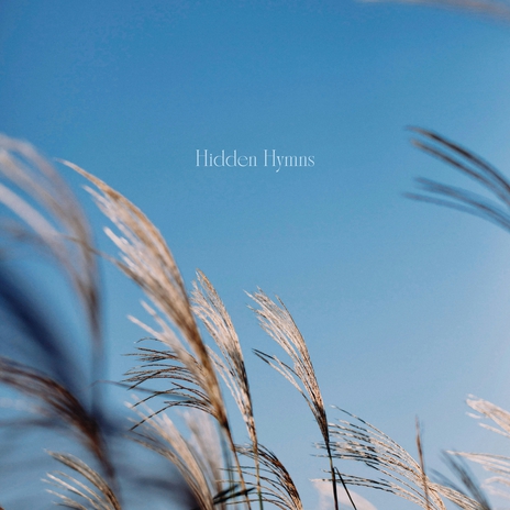 Hidden Hymns | Boomplay Music