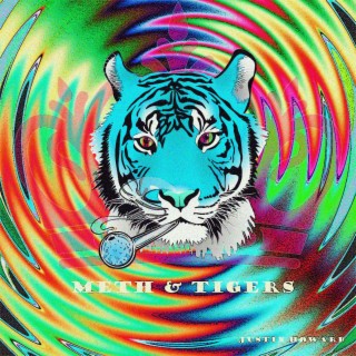 Meth & Tigers lyrics | Boomplay Music