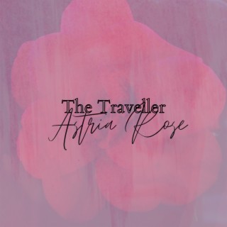 The Traveller lyrics | Boomplay Music