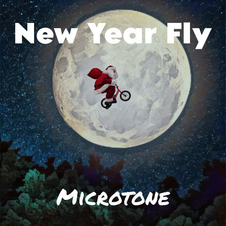 New Year Fly | Boomplay Music