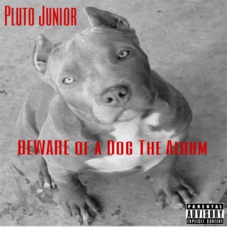 Beware Of A Dog The Album