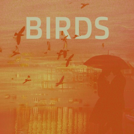 birds | Boomplay Music