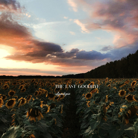 The Last Goodbye | Boomplay Music