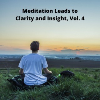 Meditation Leads to Clarity and Insight, Vol. 4