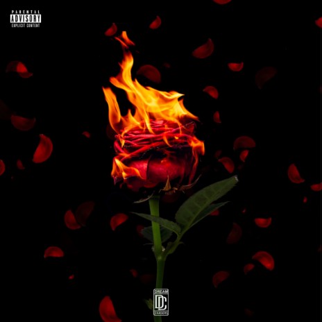 Roses | Boomplay Music