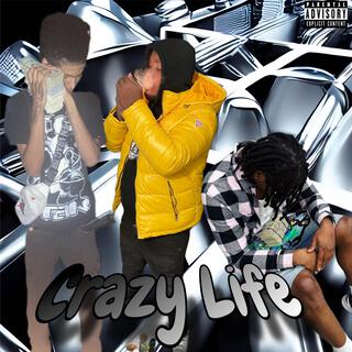 Crazy Life