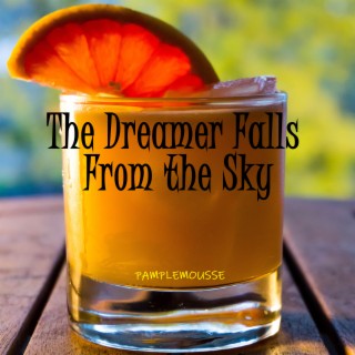 The Dreamer Falls From the Sky