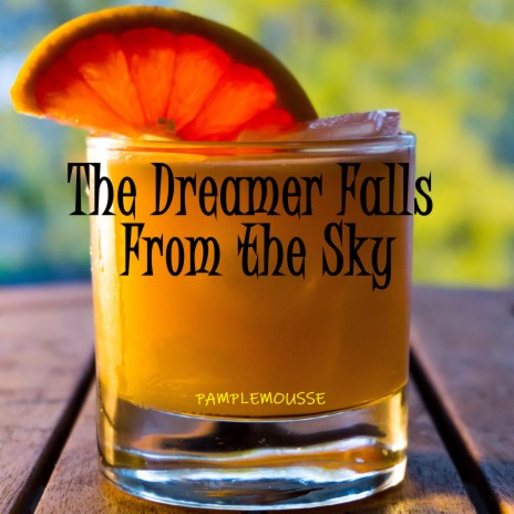 The Dreamer Falls From the Sky | Boomplay Music