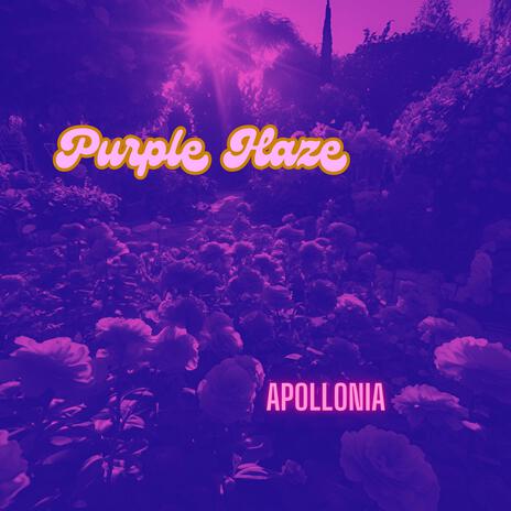 Purple Haze | Boomplay Music