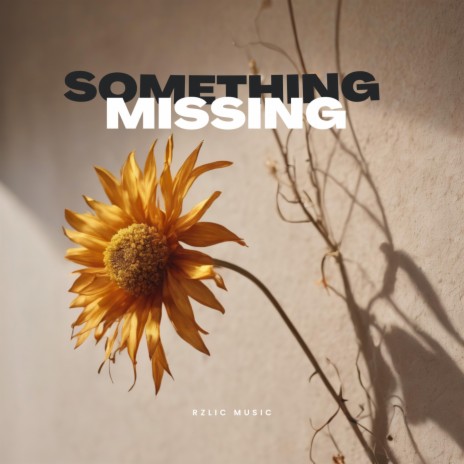 Something Missing | Boomplay Music