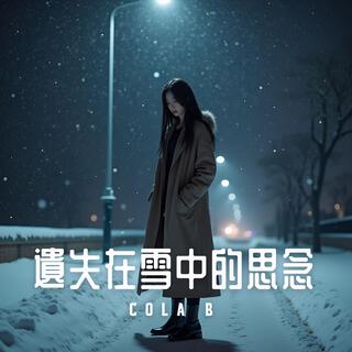 遺失在雪中的思念