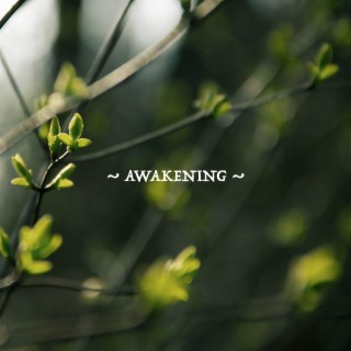 Seasons: Awakening