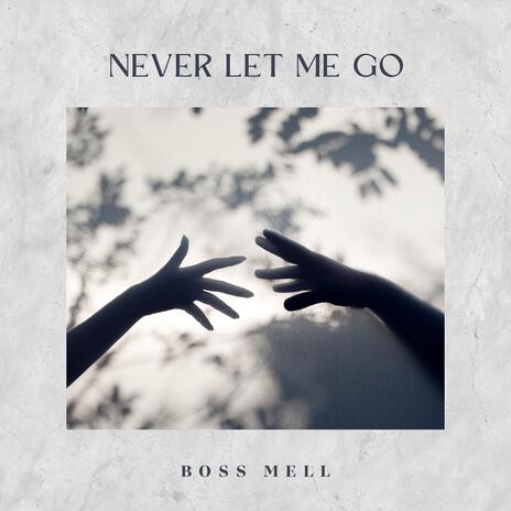 Never Let Me Go | Boomplay Music