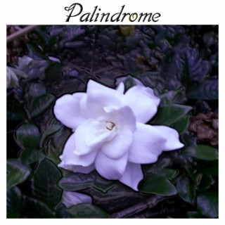 Palindrome (45 Version)