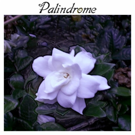 Palindrome (45 Version) | Boomplay Music
