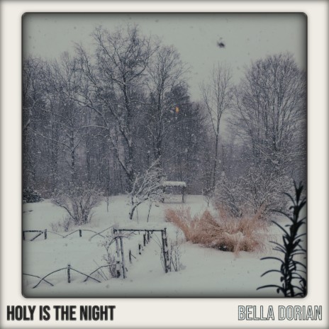 Holy Is The Night | Boomplay Music