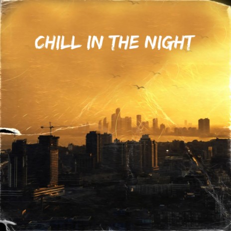 Chill In The Night | Boomplay Music