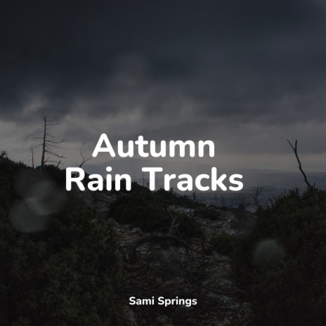 Wind, Strong, Forest, Light Debris, Leaves, Rain | Boomplay Music