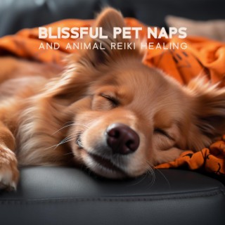 Blissful Pet Naps and Animal Reiki Healing