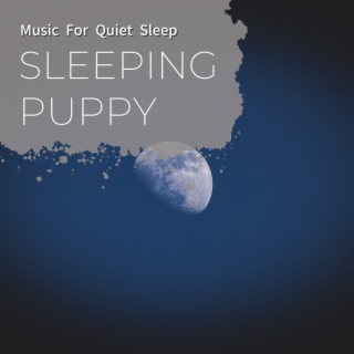 Music for Quiet Sleep