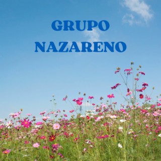 Grupo nazareno
