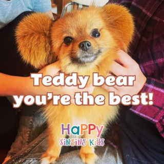 Teddy bear you're the best!