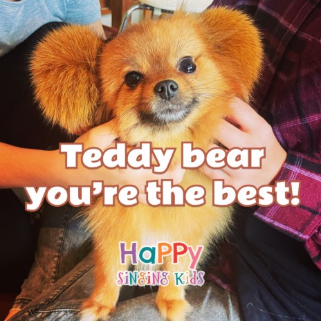 Teddy bear you're the best! | Boomplay Music