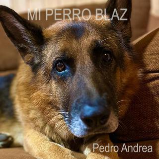 Mi perro Blaz