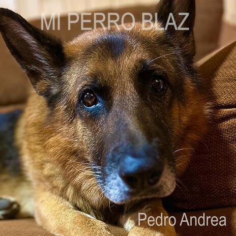 Mi perro Blaz | Boomplay Music