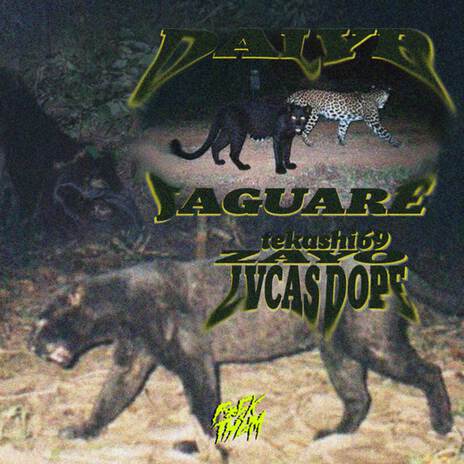 Jaguare ft. 6ix9ine, Zayo & Lvcas Dope | Boomplay Music