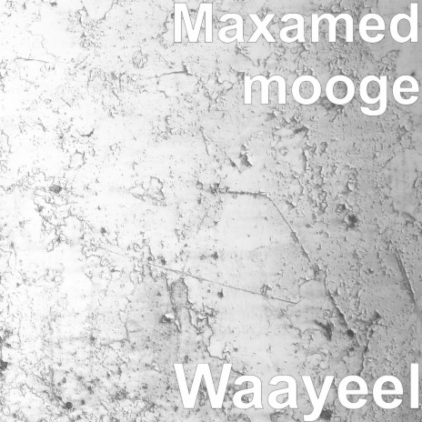 Waayeel | Boomplay Music