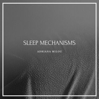 Sleep Mechanisms