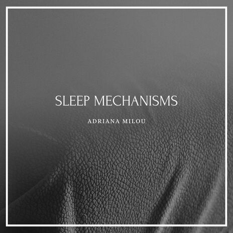 Sleep Mechanisms | Boomplay Music