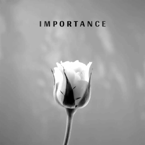 Importance - Sad Lofi Beat | Boomplay Music