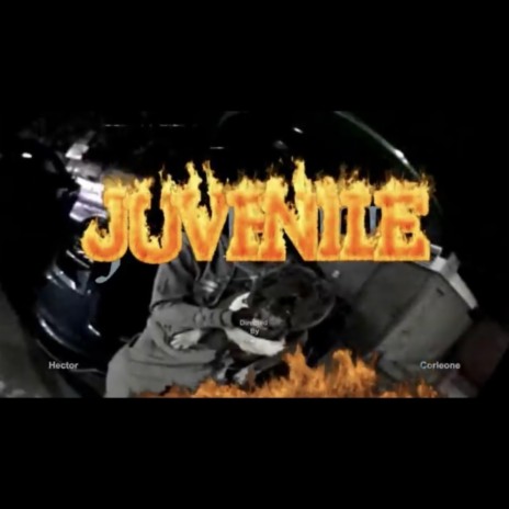 Juvenile | Boomplay Music